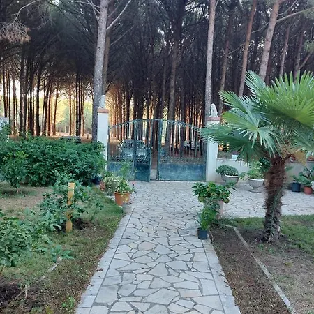 Holiday home Viluni