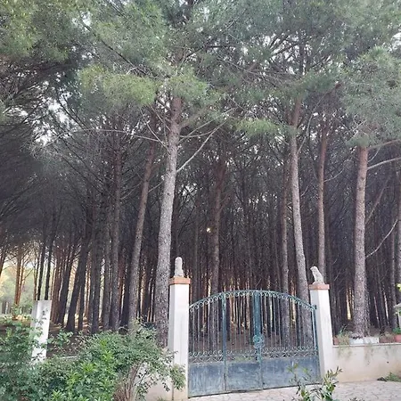 Holiday home Viluni *