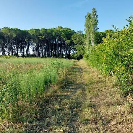 Nyaraló Viluni *